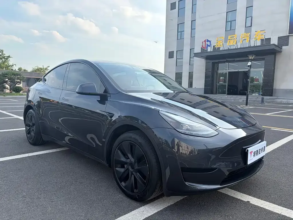 Tesla Model Y — фото 8