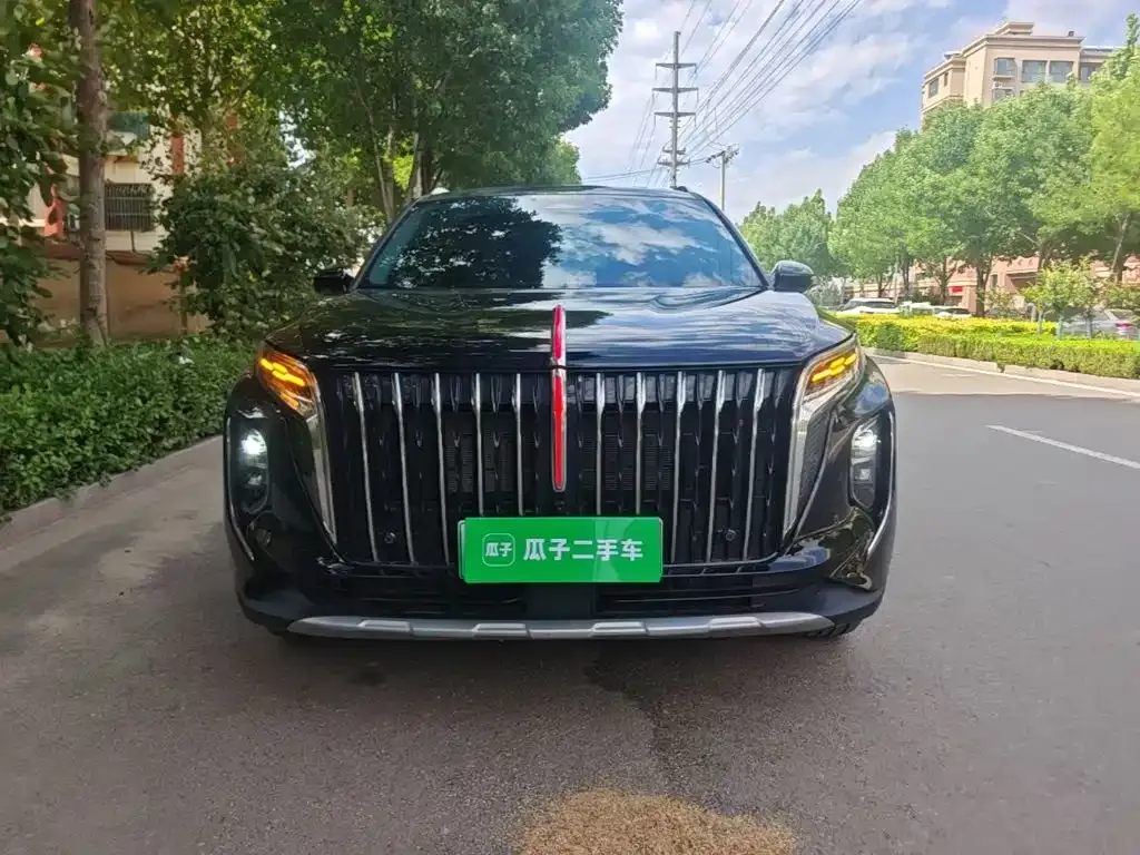 Hongqi HS7 PHEV — фото 6