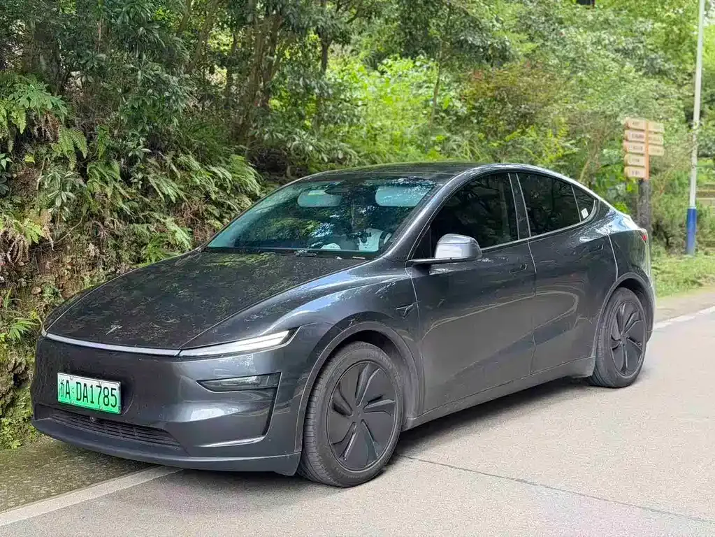 Tesla Model Y — фото 1
