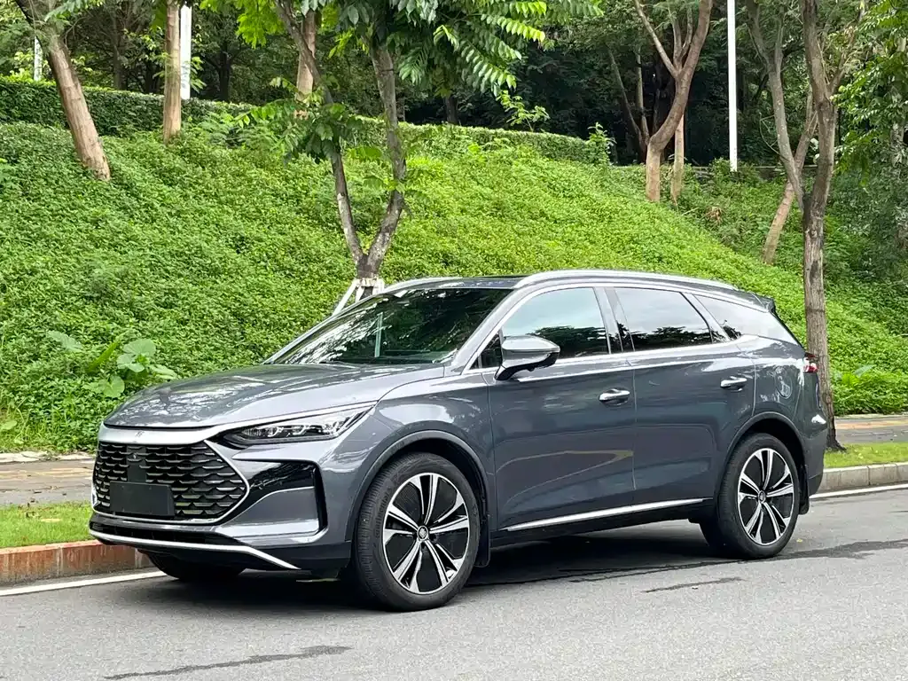 BYD Tang New Energy — фото 1