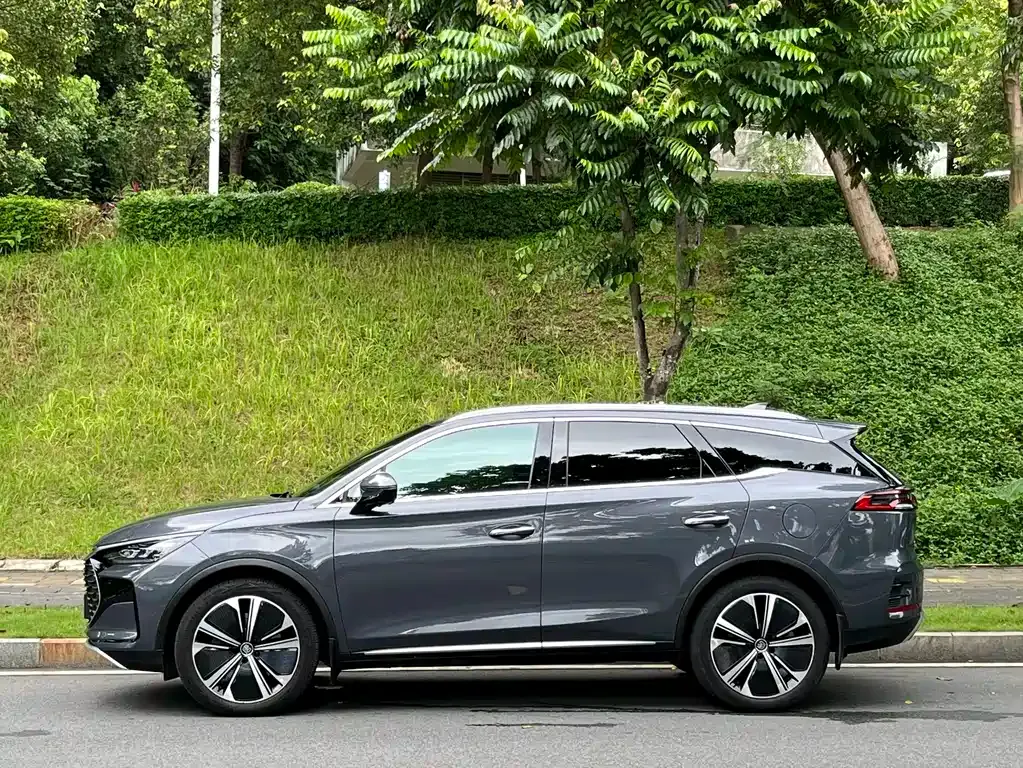 BYD Tang New Energy — фото 10