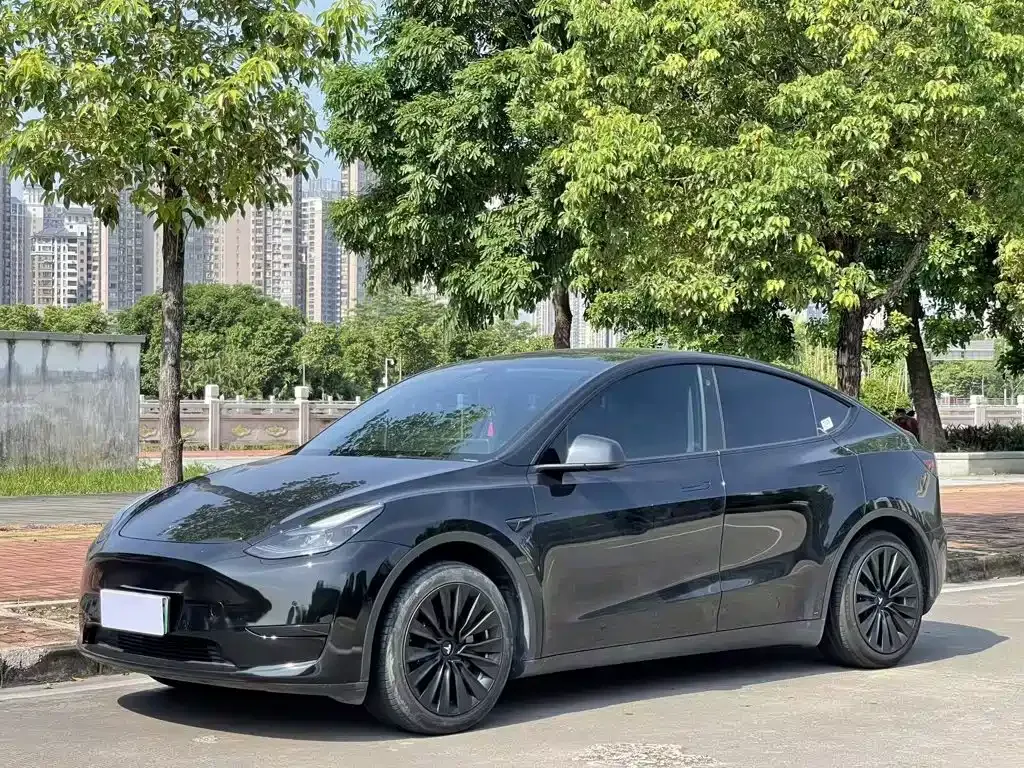 Tesla Model Y — фото 1