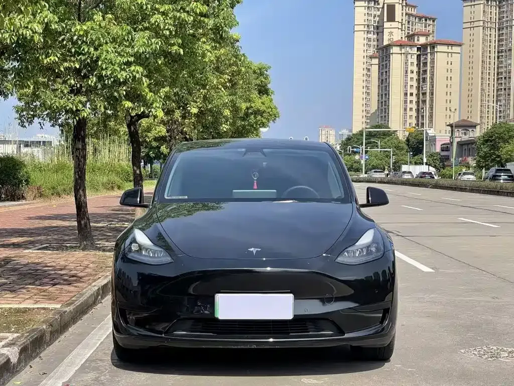 Tesla Model Y — фото 6
