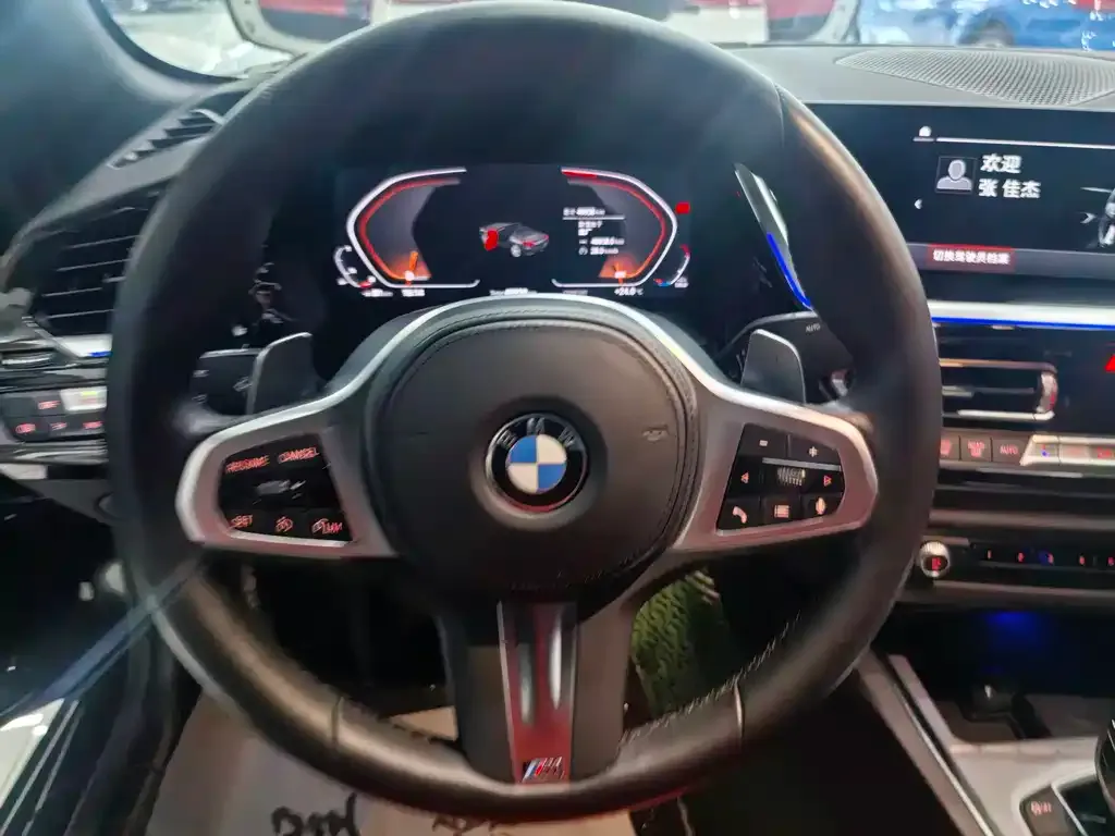 BMW Z4 — фото 10