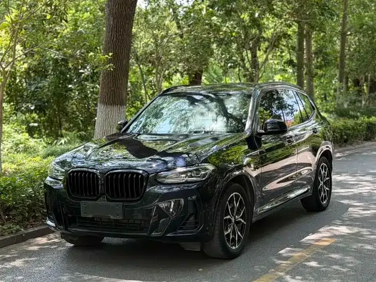 BMW X3 — фото 1