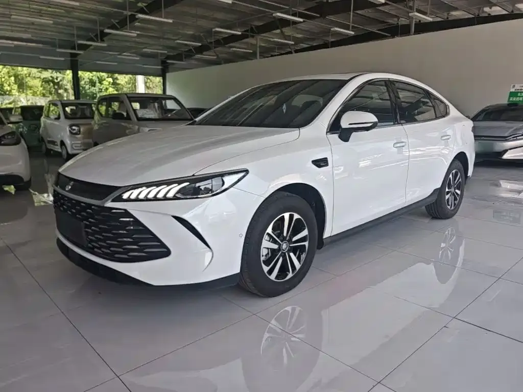 BYD Qin PLUS — фото 1