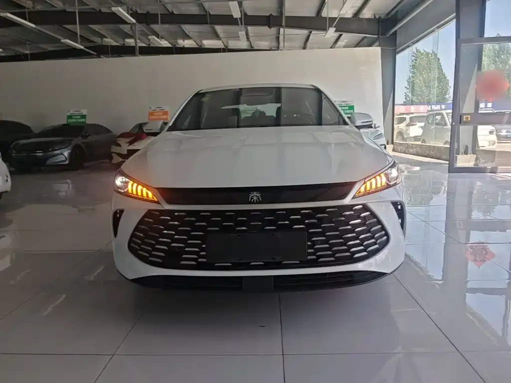 BYD Qin PLUS — фото 10