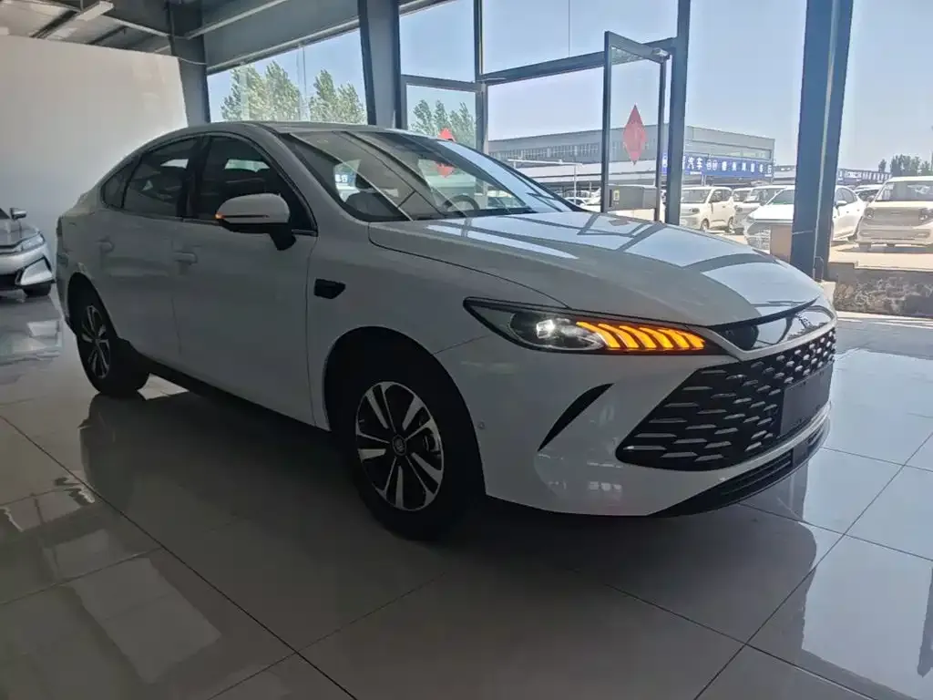 BYD Qin PLUS — фото 3
