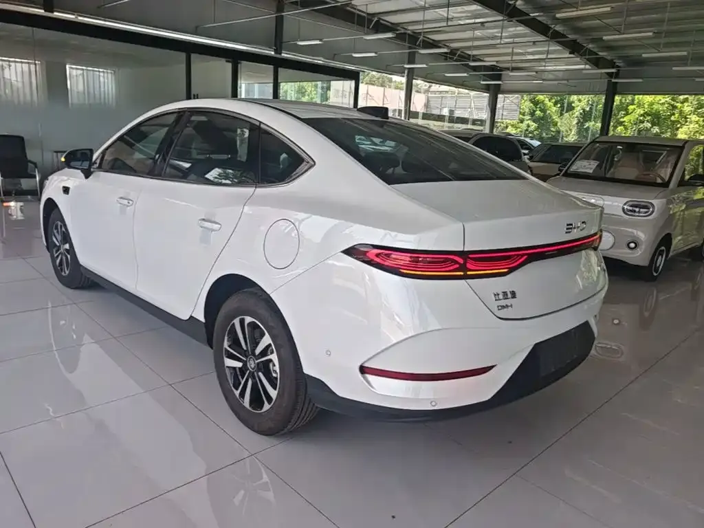 BYD Qin PLUS — фото 9