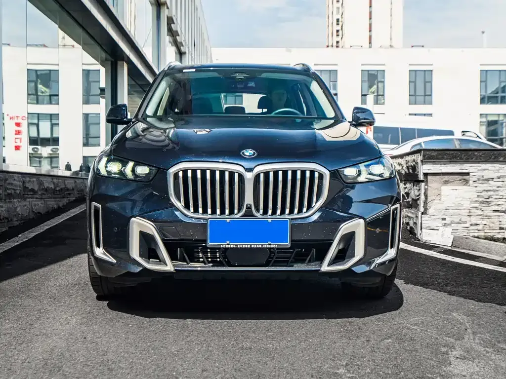 BMW X5 — фото 10