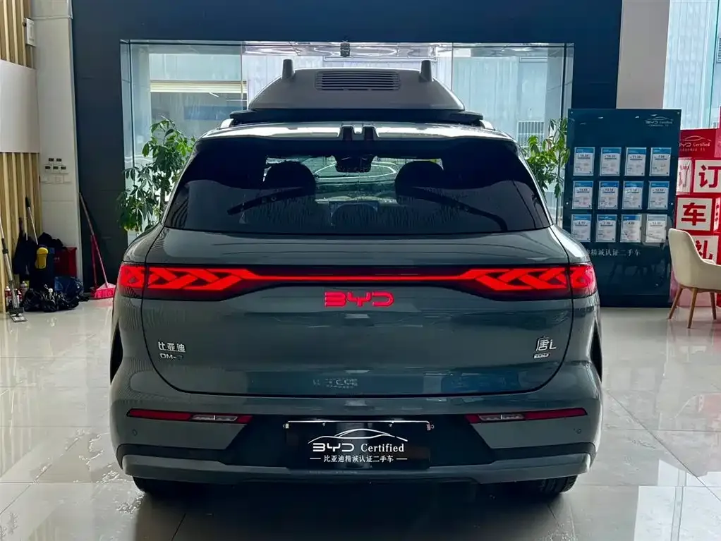 BYD Tang L — фото 3
