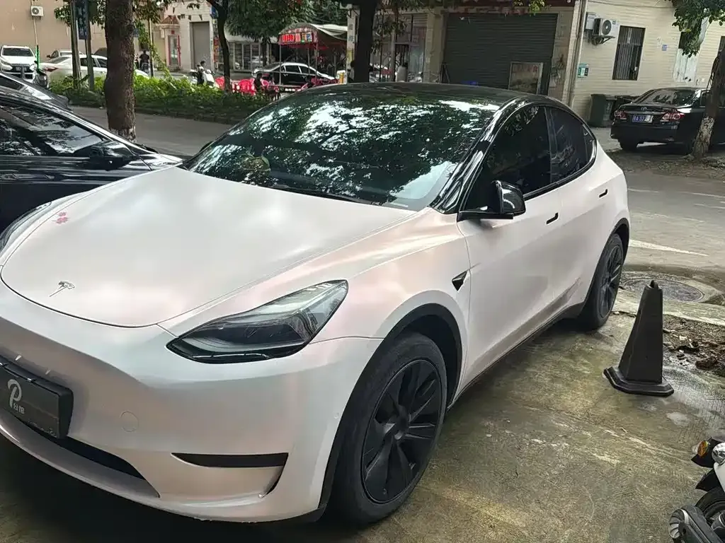 Tesla Model Y — фото 1