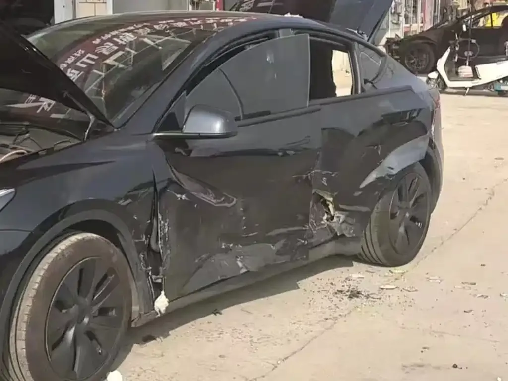 Tesla Model Y — фото 3