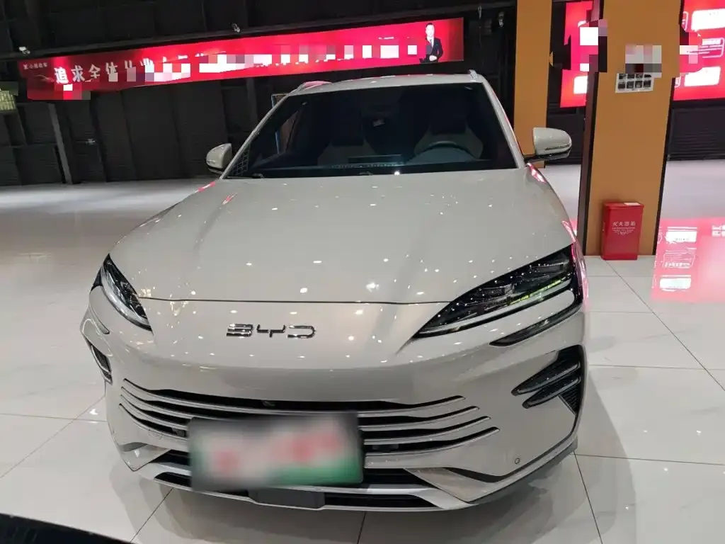 BYD PLUS New Energy — фото 9
