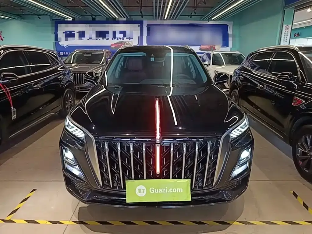 Hongqi HS5 — фото 10