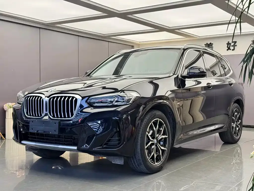 BMW X3 — фото 1