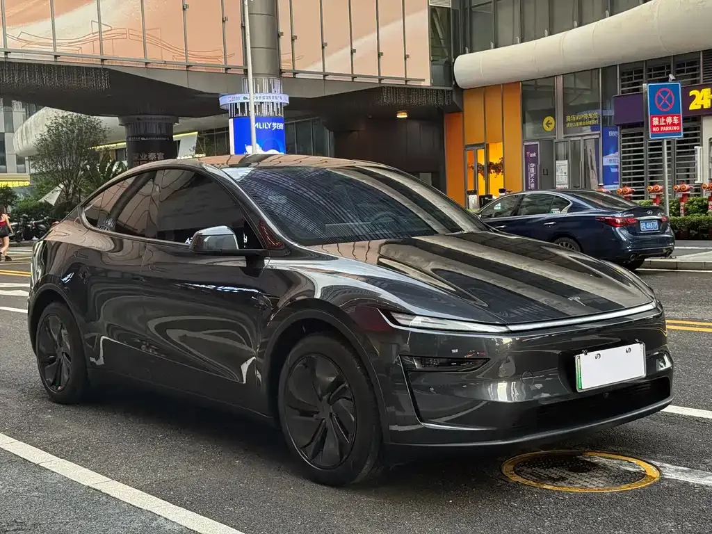 Tesla Model Y — фото 10