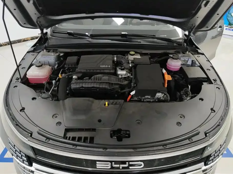 BYD Destroyer 05 2024 из CN, фото 8