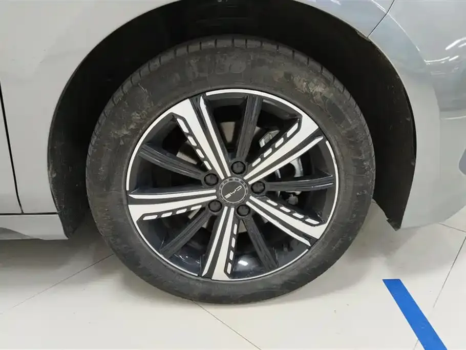 BYD Destroyer 05 2024 из CN, фото 3