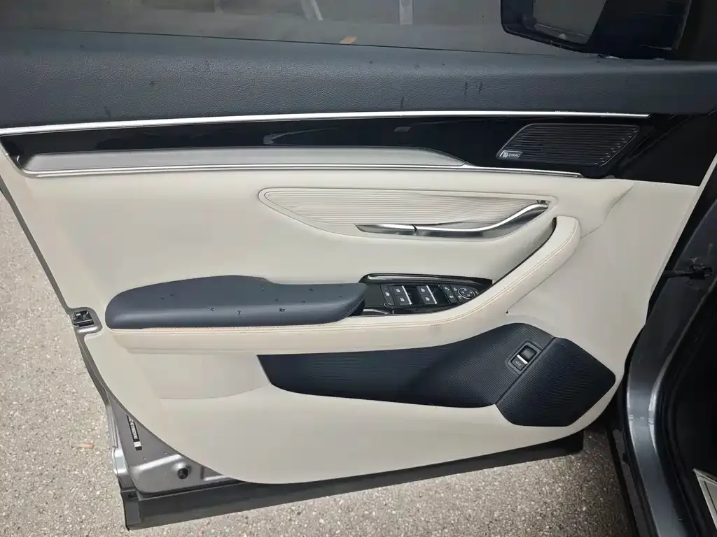 BYD PLUS New Energy — фото 4