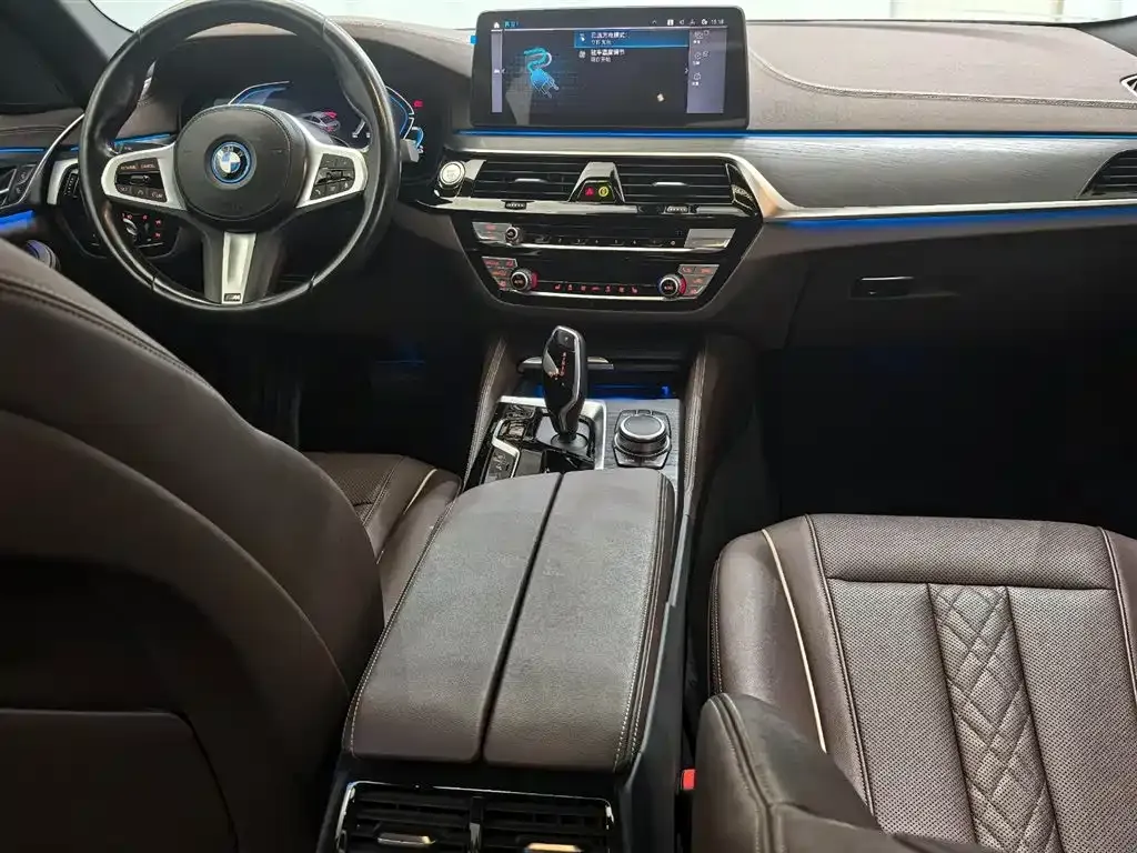 BMW 5 Series New Energy 2022 из CN, фото 10