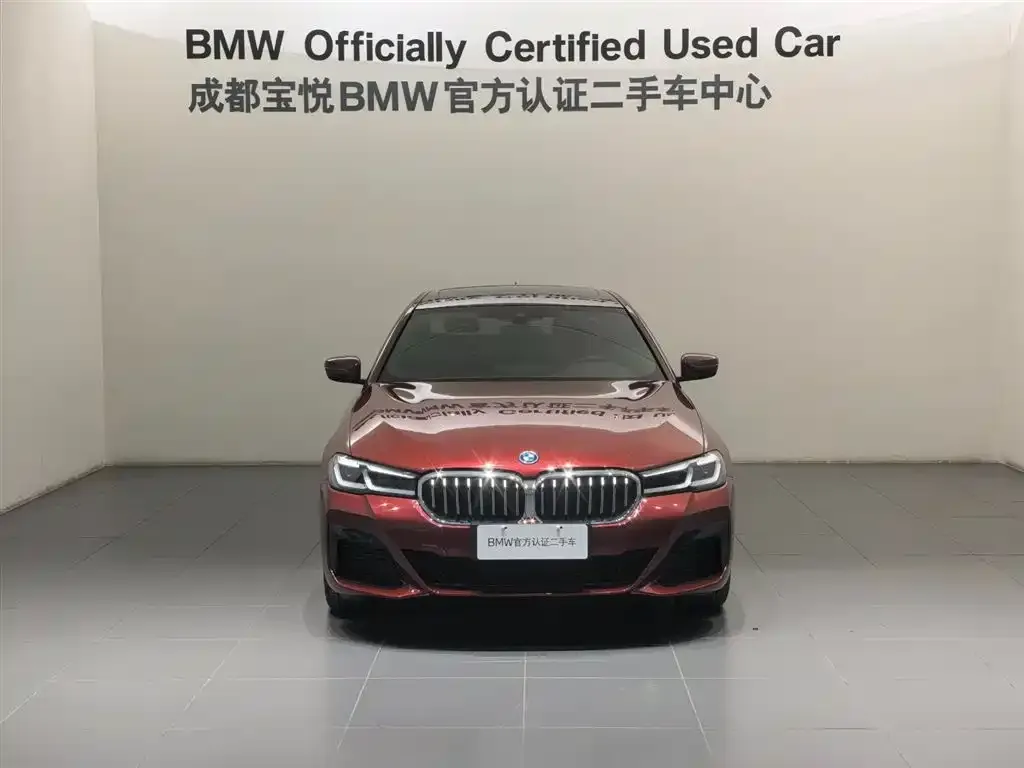 BMW 5 Series New Energy 2022 из CN, фото 6