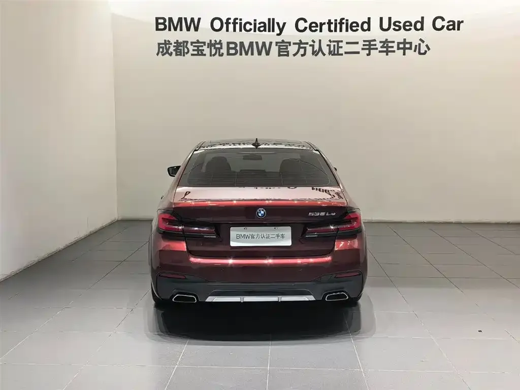 BMW 5 Series New Energy 2022 из CN, фото 5