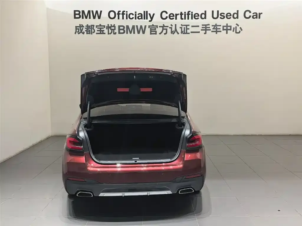 BMW 5 Series New Energy 2022 из CN, фото 4