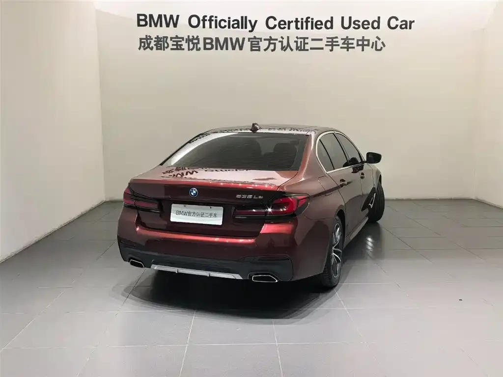 BMW 5 Series New Energy 2022 из CN, фото 3
