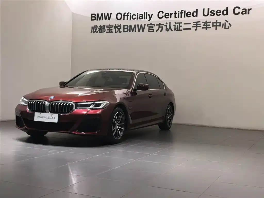 BMW 5 Series New Energy 2022 из CN, фото 2
