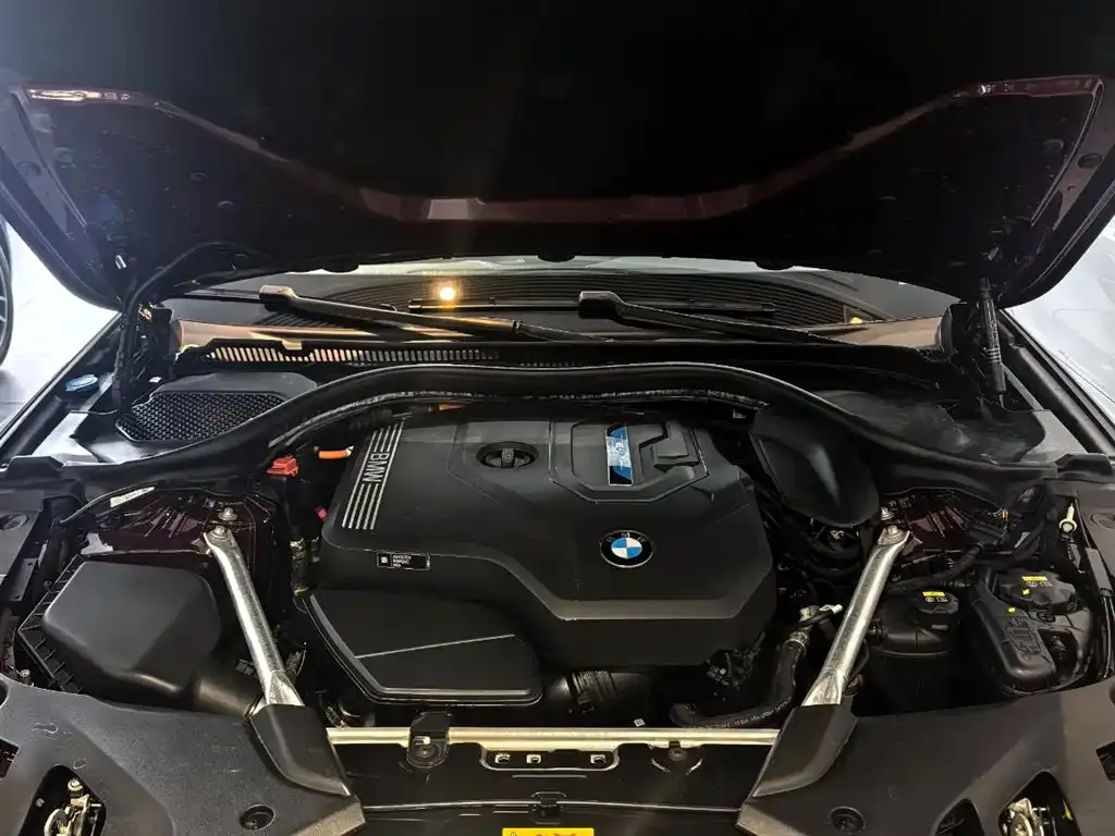 BMW 5 Series New Energy 2022 из CN, фото 7