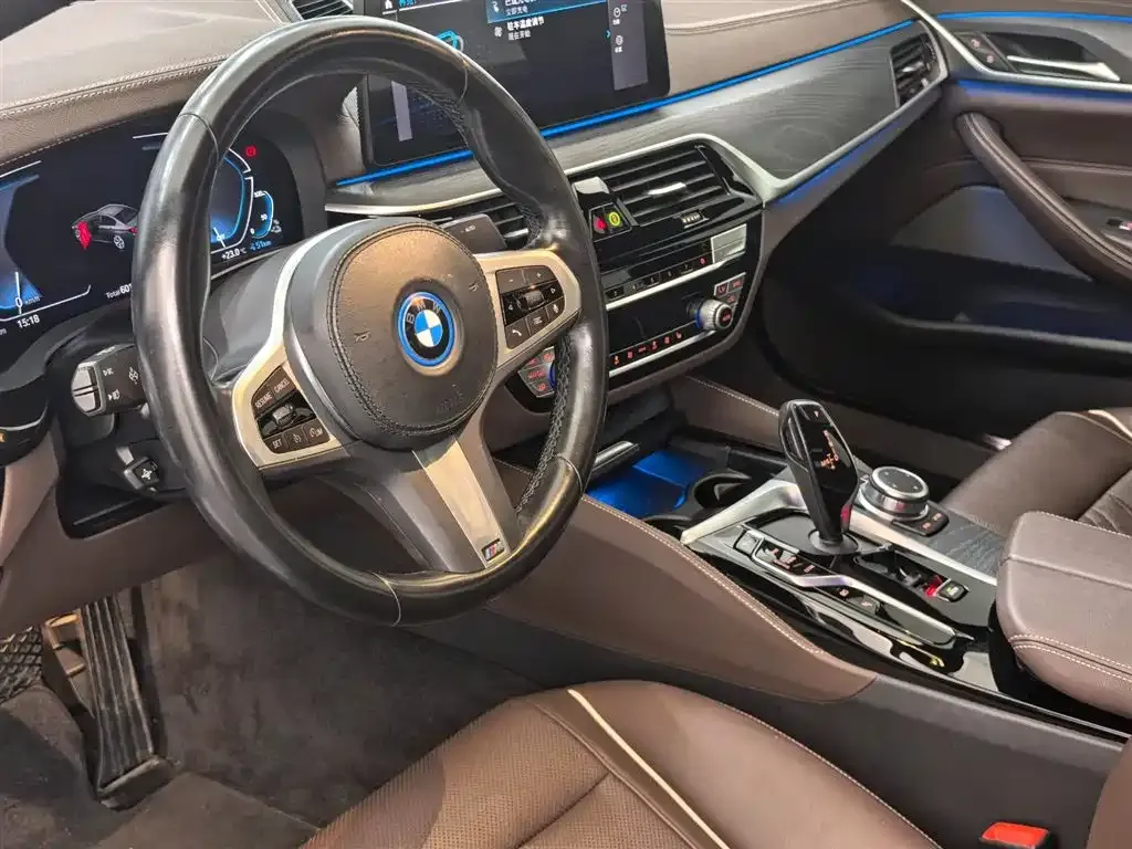 BMW 5 Series New Energy 2022 из CN, фото 9