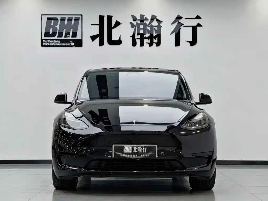 Tesla Model Y — фото 3