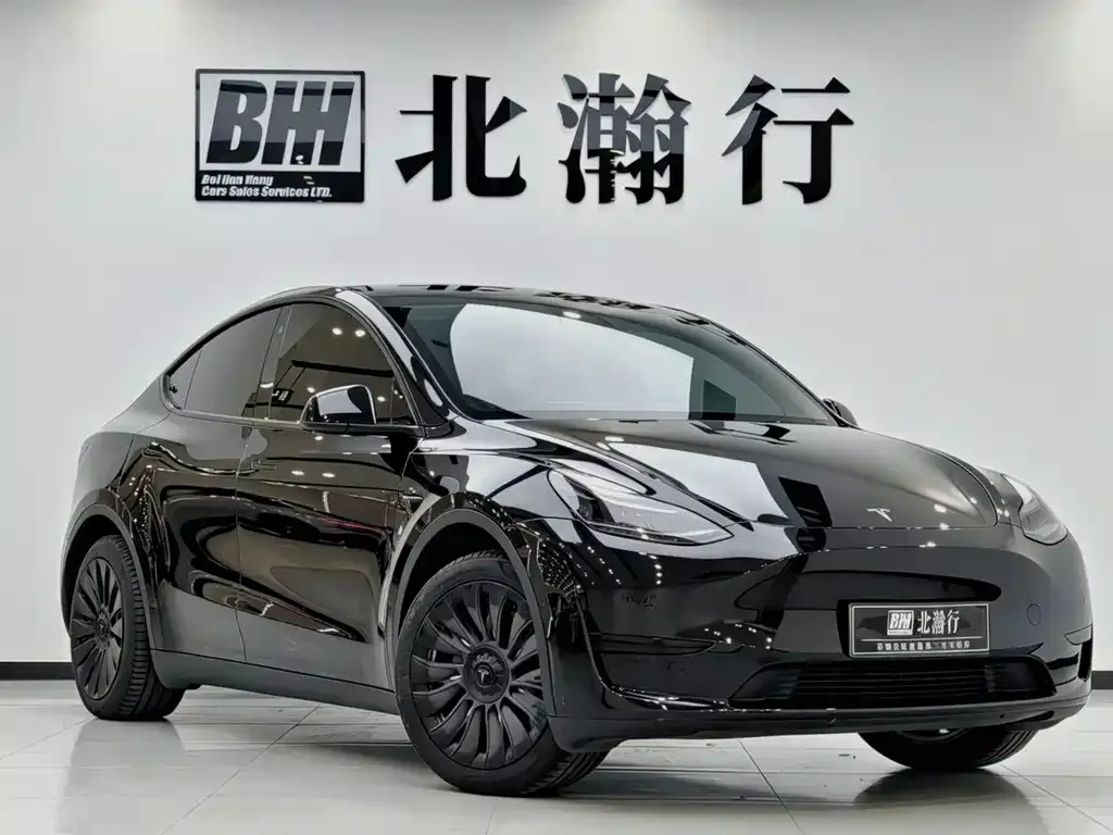 Tesla Model Y — фото 7