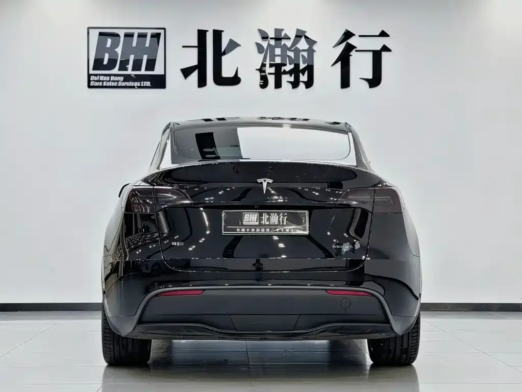 Tesla Model Y — фото 2