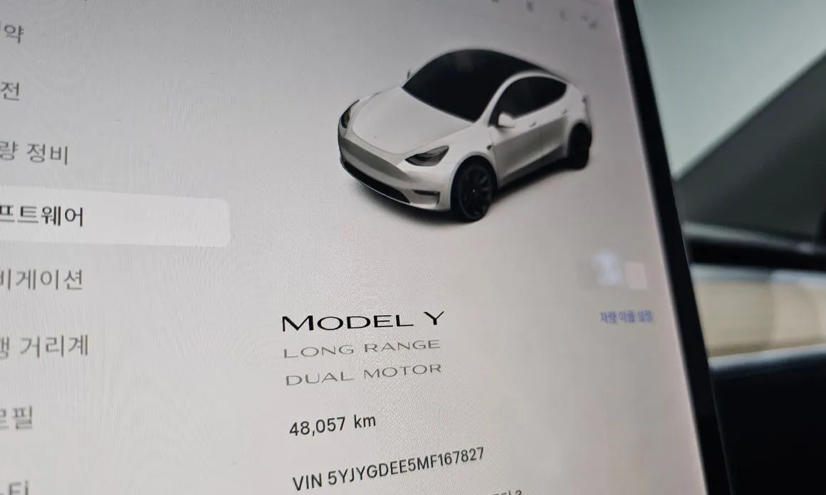 Tesla Model Y — фото 3