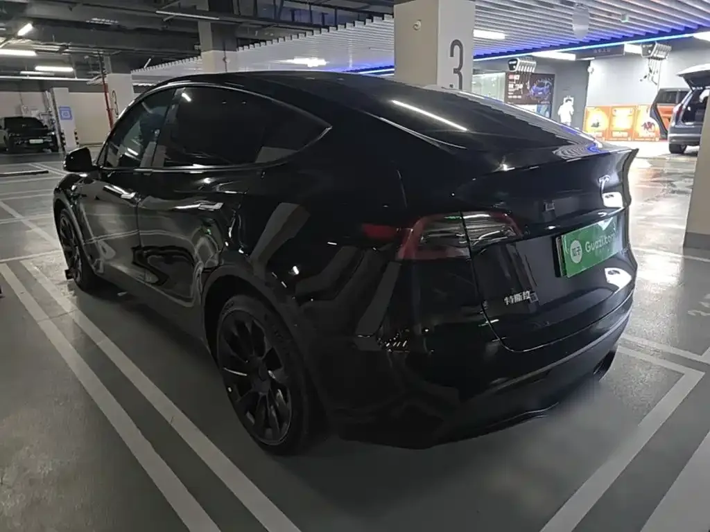 Tesla Model Y — фото 9