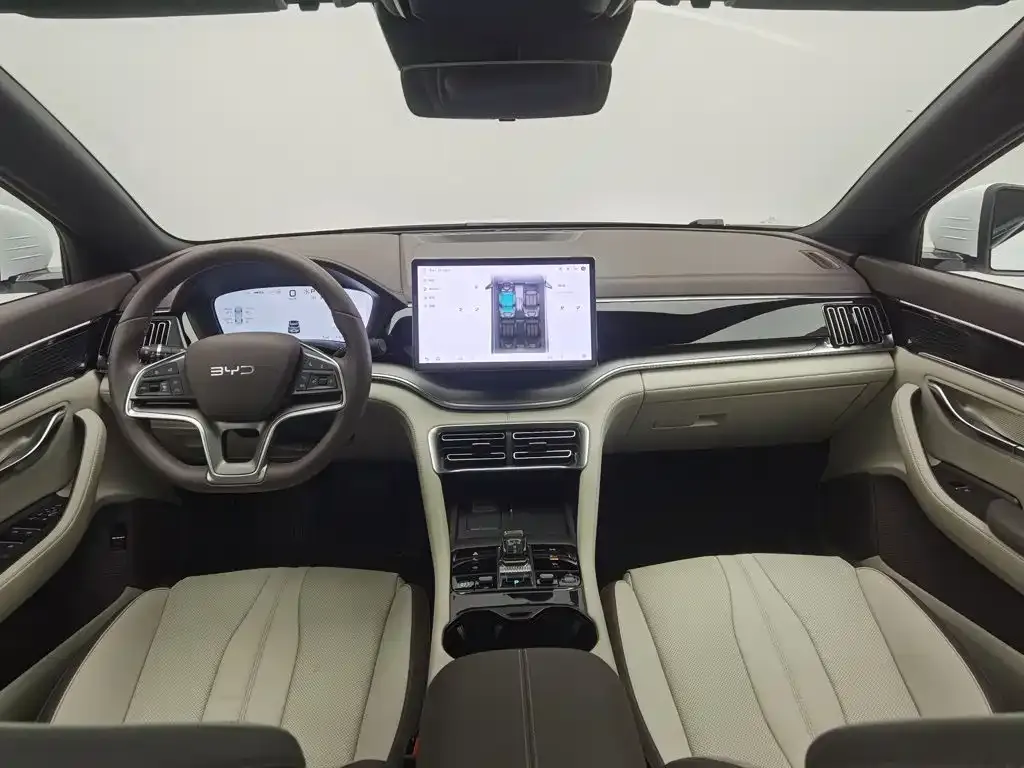 BYD PLUS New Energy — фото 10