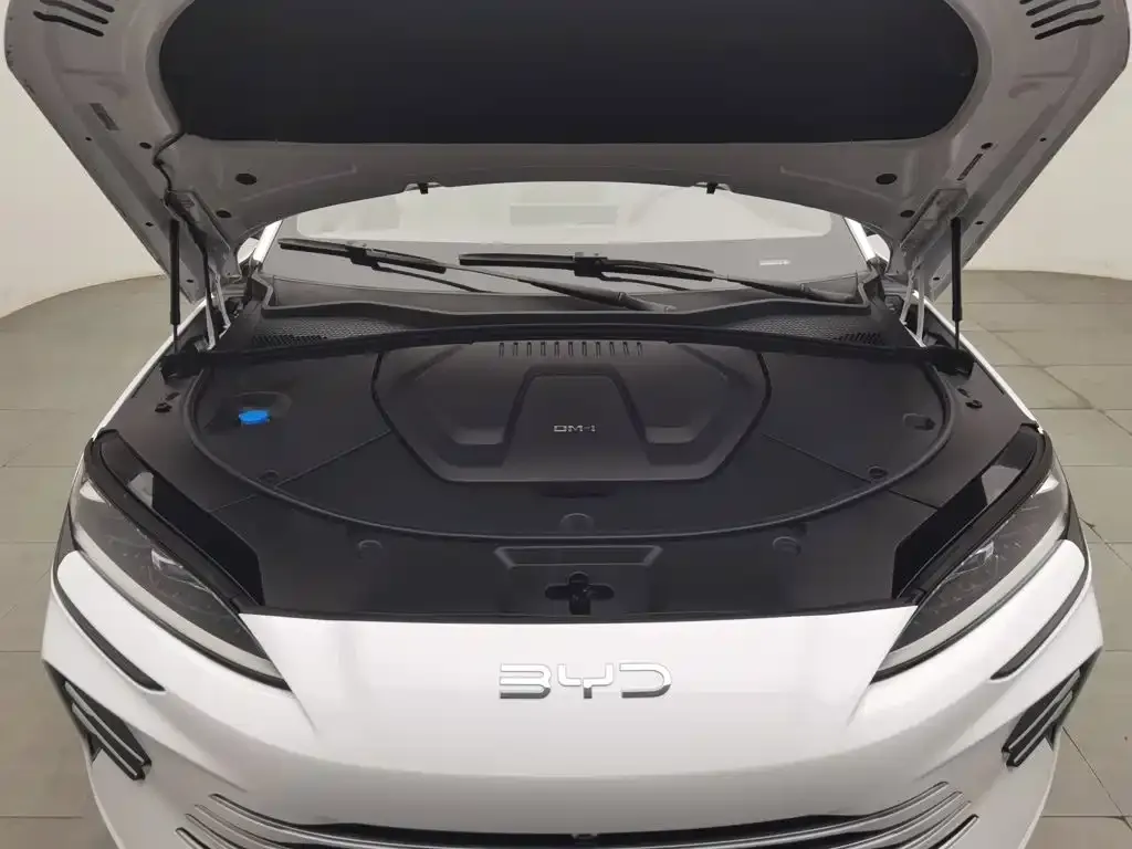 BYD PLUS New Energy — фото 2