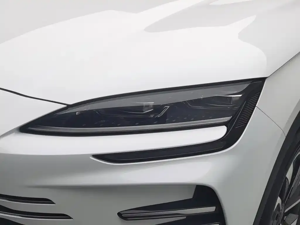 BYD PLUS New Energy — фото 8