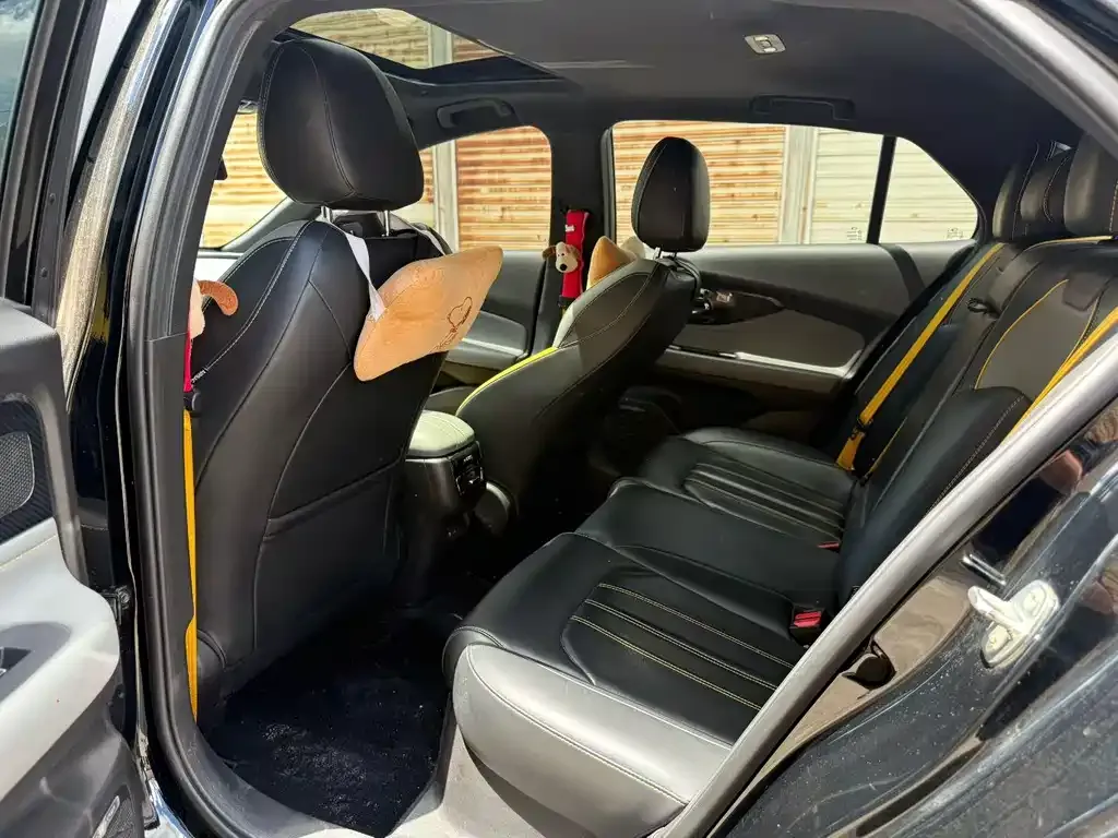 GAC Motor Shadow Leopard 2024 из CN, фото 3