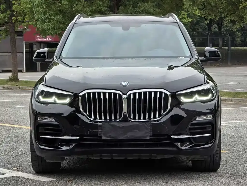 BMW X5 (Import) — фото 6