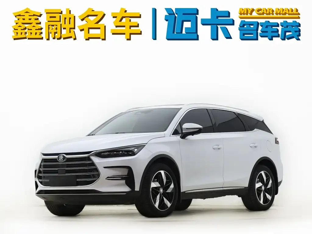 BYD Tang New Energy — фото 1