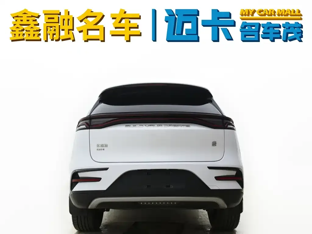 BYD Tang New Energy — фото 10