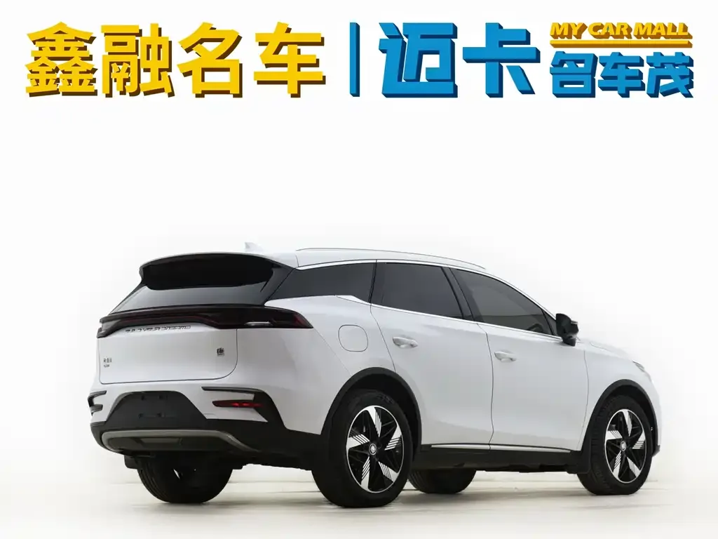 BYD Tang New Energy — фото 8