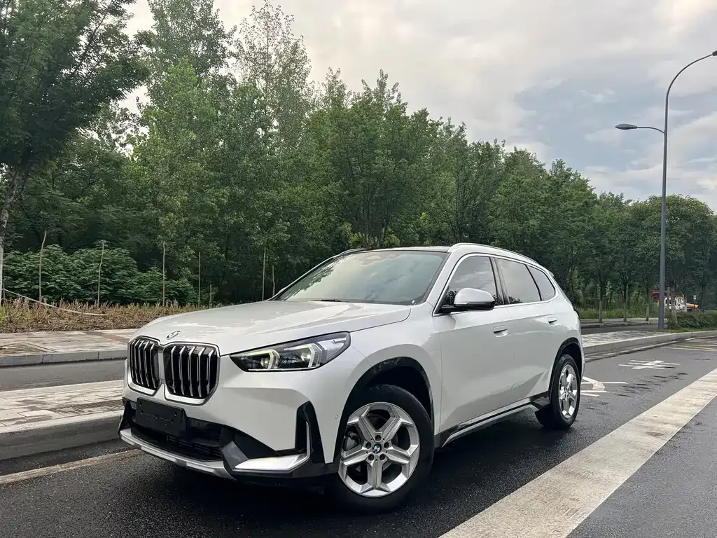 BMW X1 — фото 1