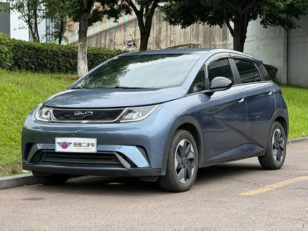 BYD Dolphin