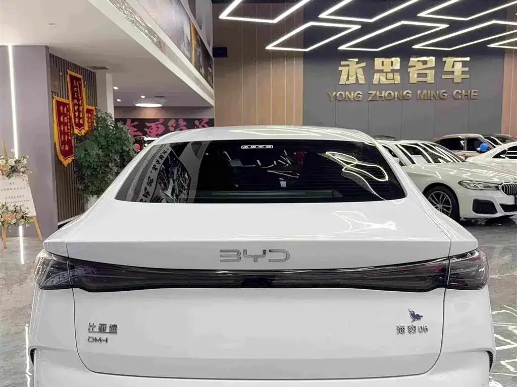 BYD Seal 06 — фото 6