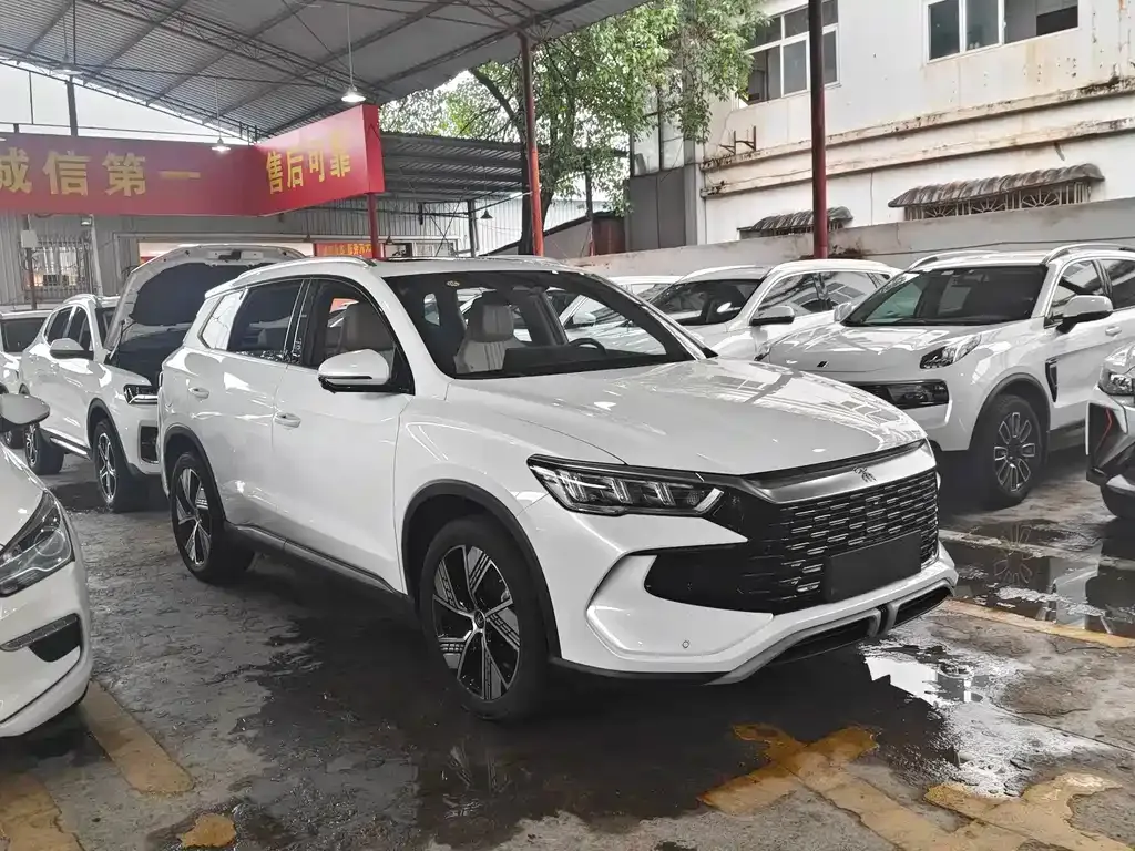 BYD Pro New Energy — фото 10
