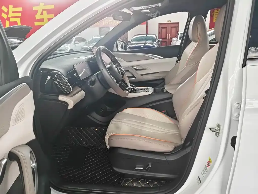 BYD Pro New Energy — фото 9